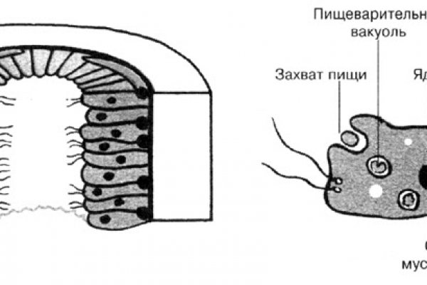 Кракен купить наркоту