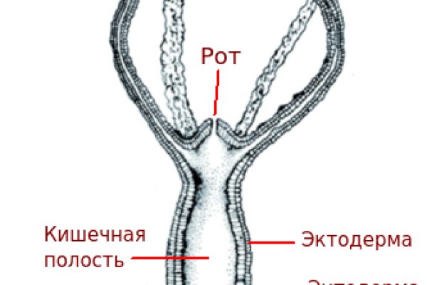 Маркетплейс кракен kraken darknet top